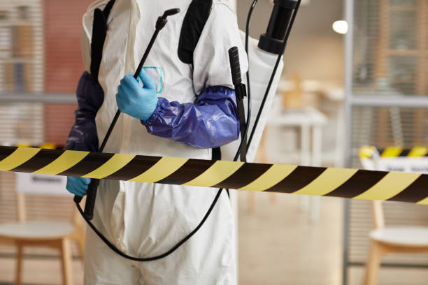 Professional Sewage Cleanup technician working in Tahuya, WA